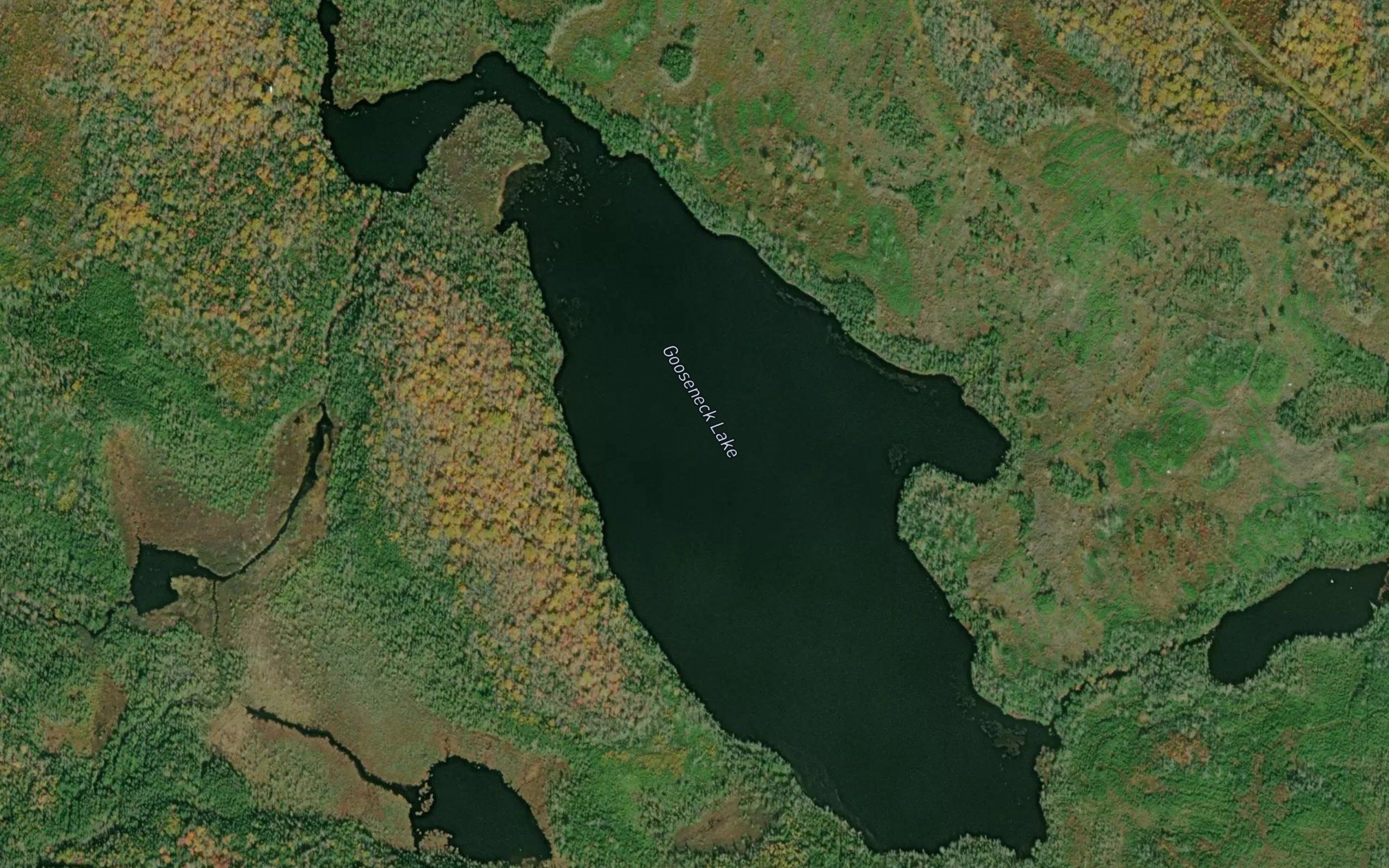 Gooseneck Lake