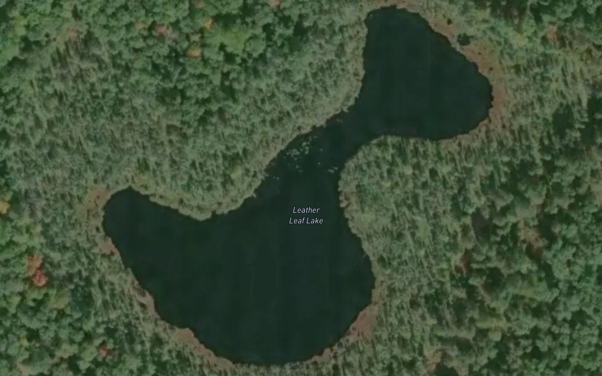 Leather Leaf Lake