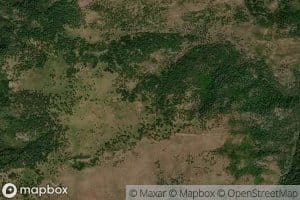 Little Bonito Spring