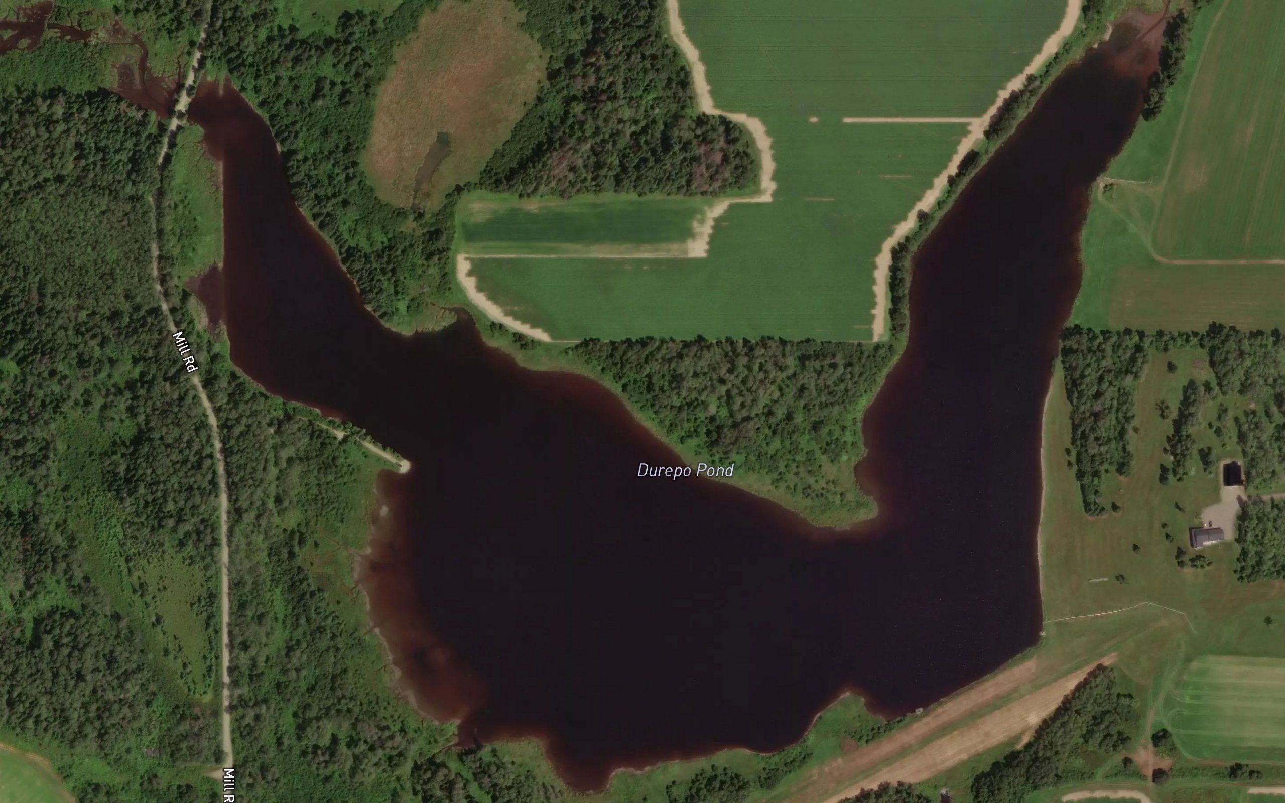 Durepo Pond