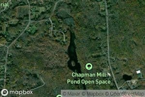 Chapmans Pond
