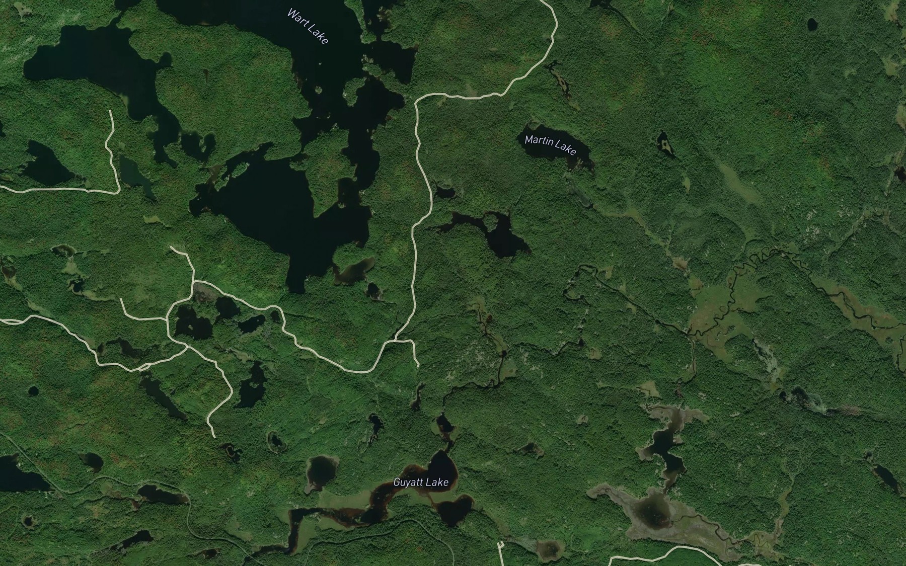 Satellite map of the Wart Creek