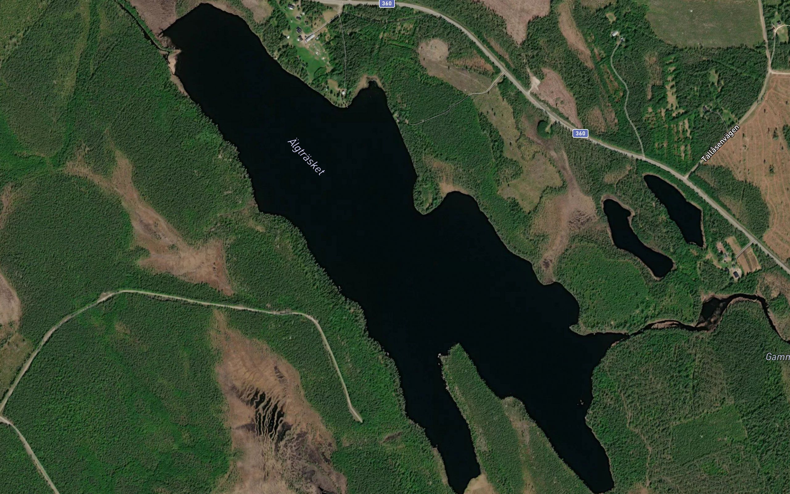Algtrasket