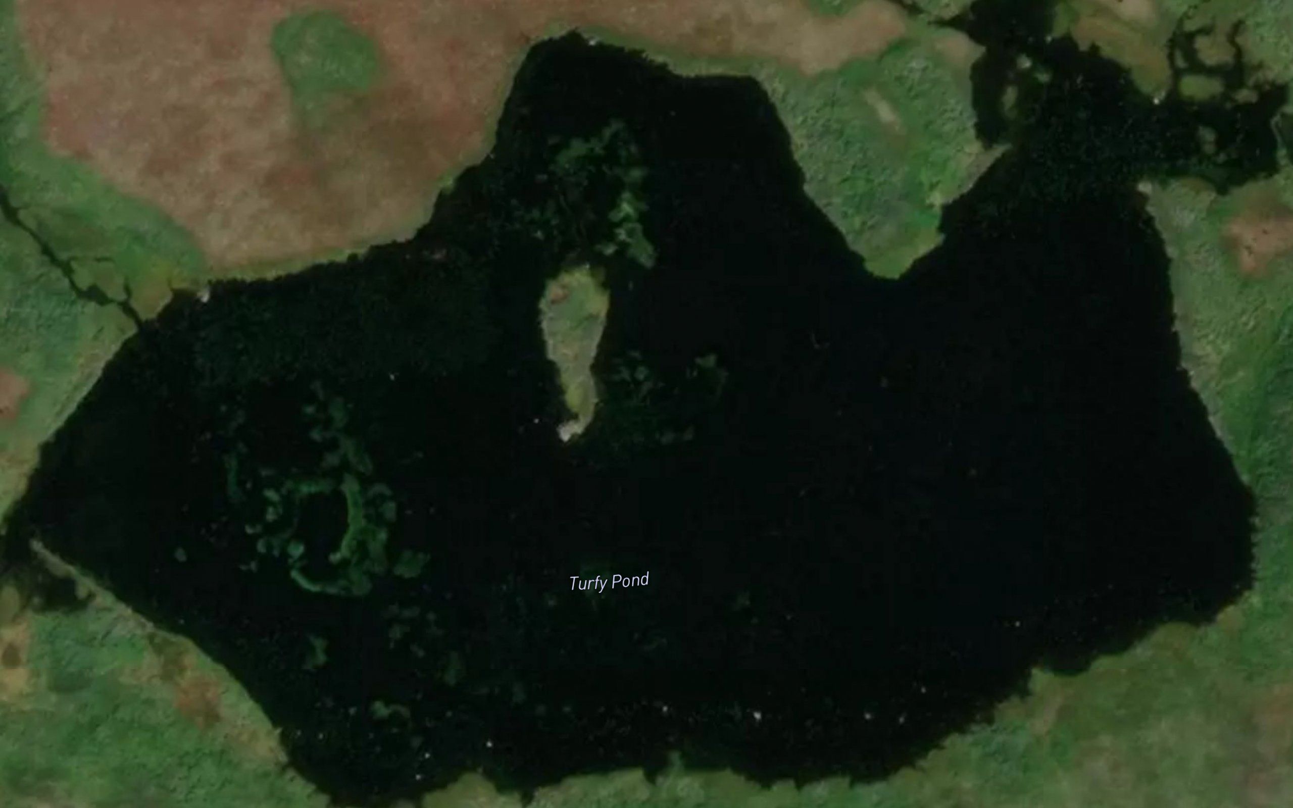 Turfy Pond