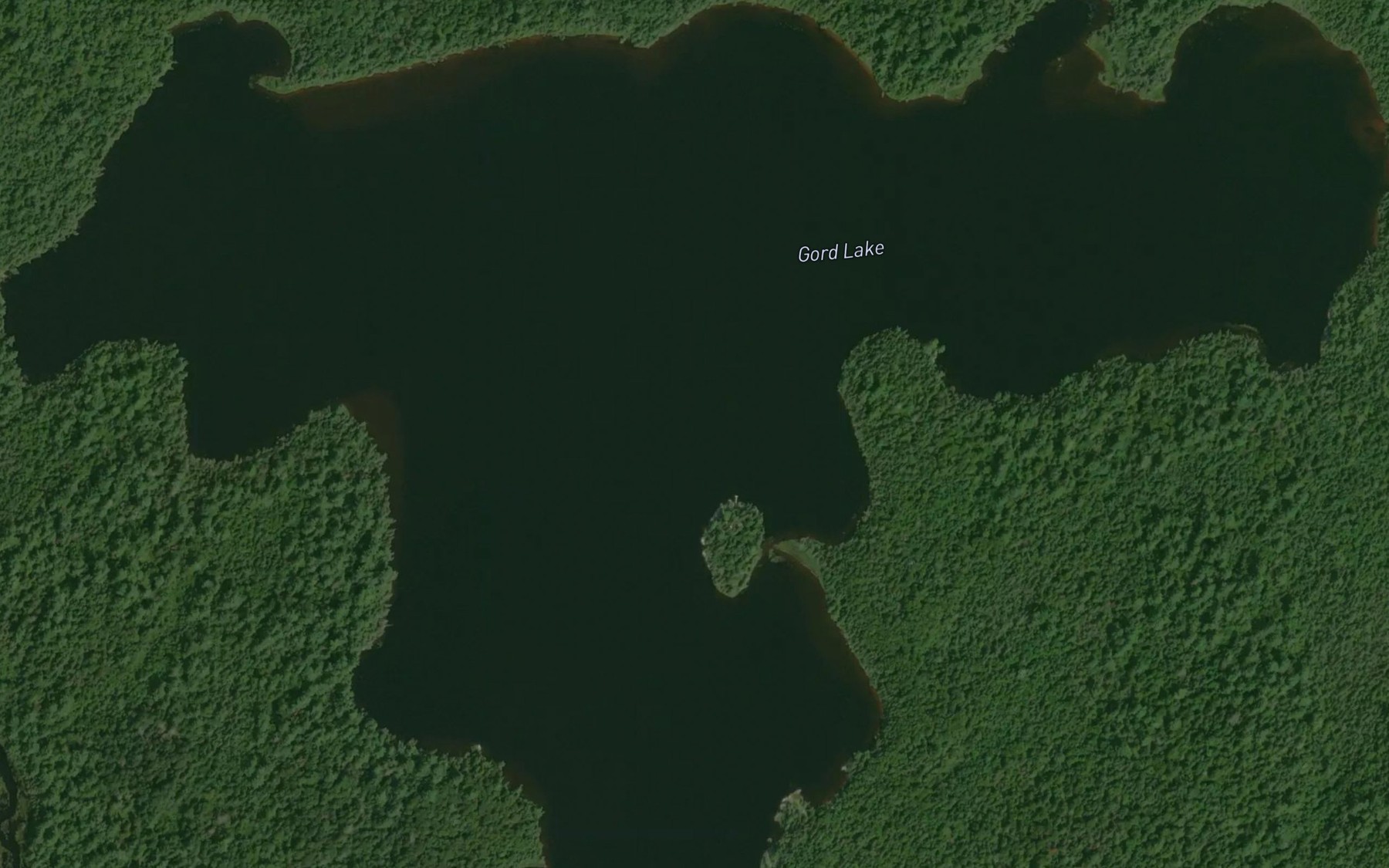 Satellite map of the Gord Lake