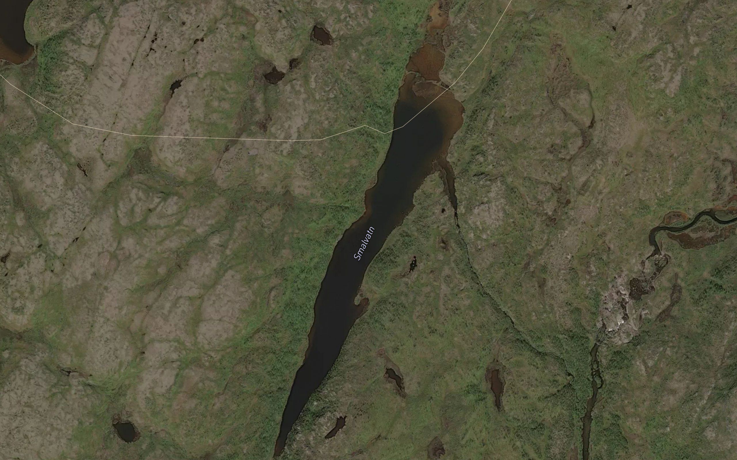 Buskujavri