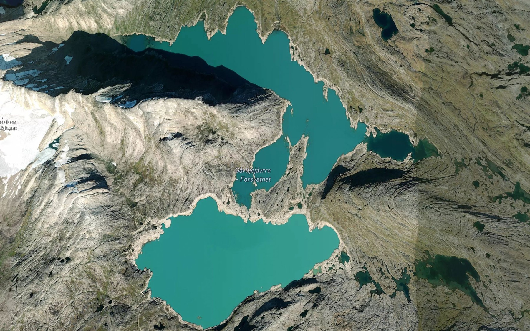 Satellite map of the Forsvatnet