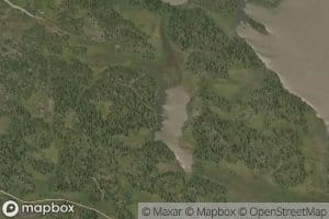 Lauvtjednet