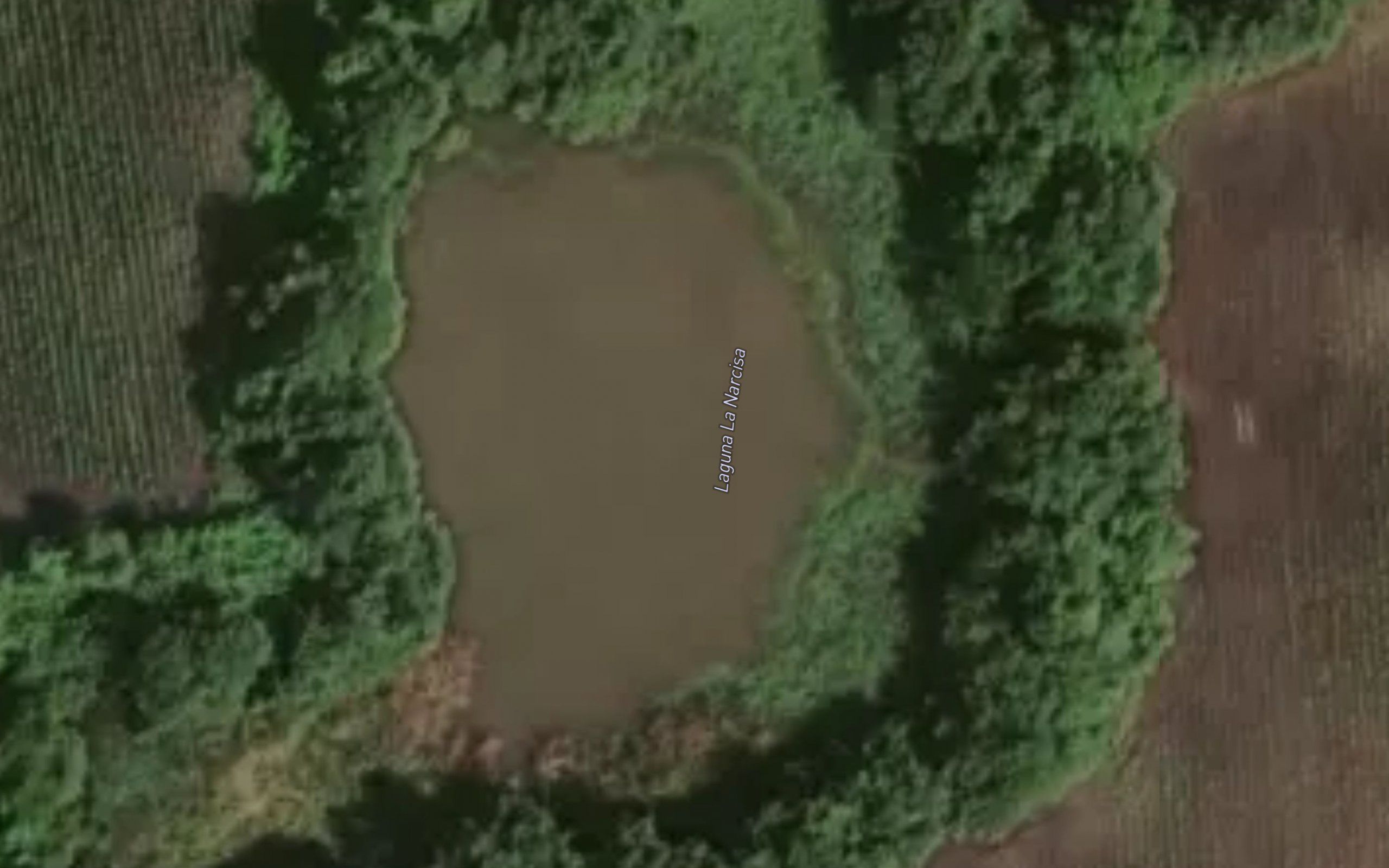 Laguna La Narcisa