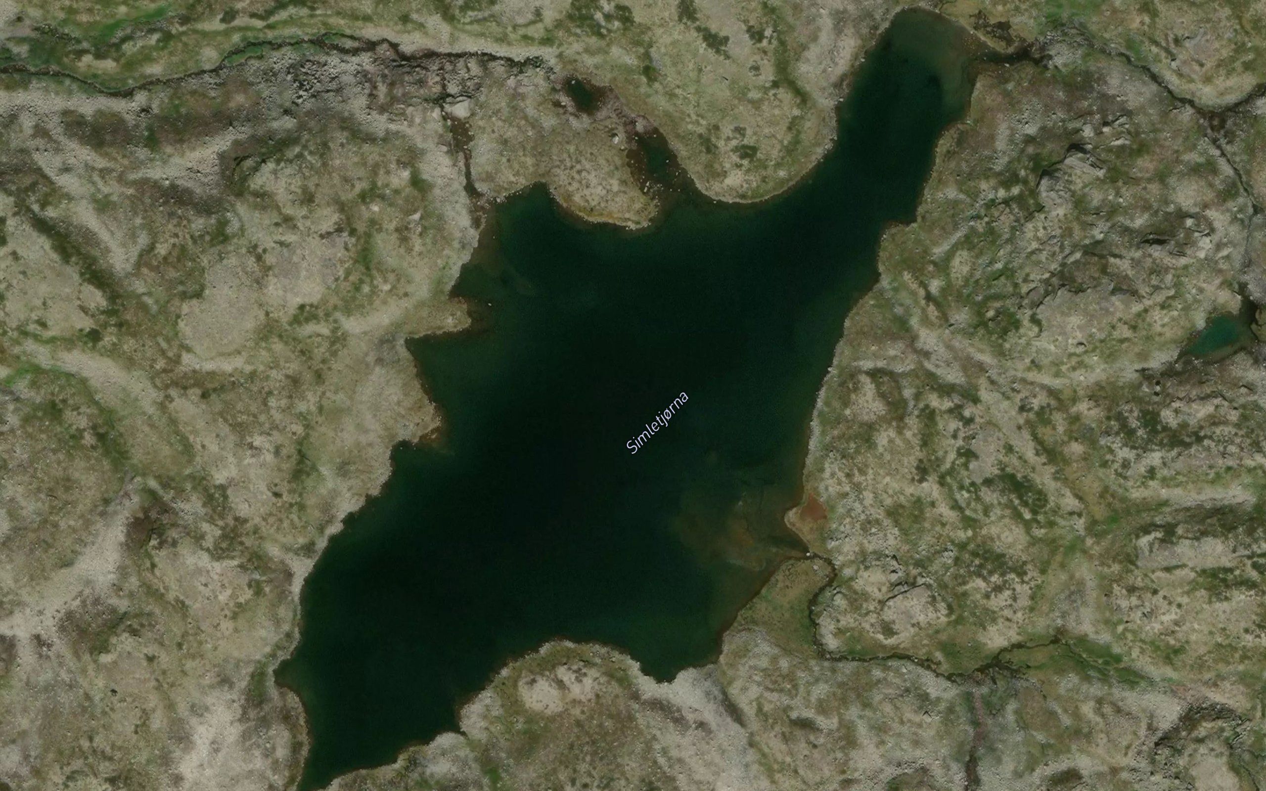 Simletjorni