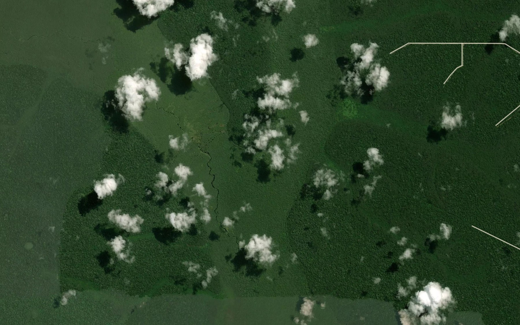 Satellite map of the Goualougo