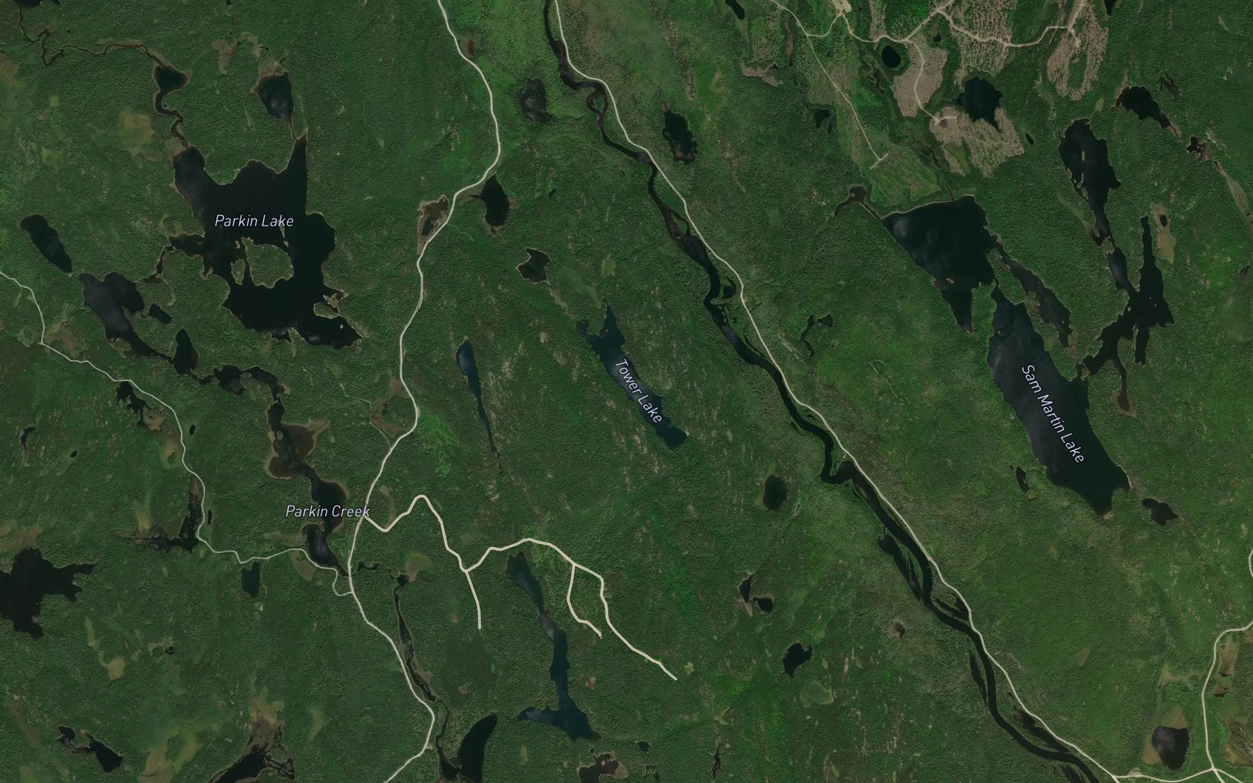 Satellite map of the Tower Lake