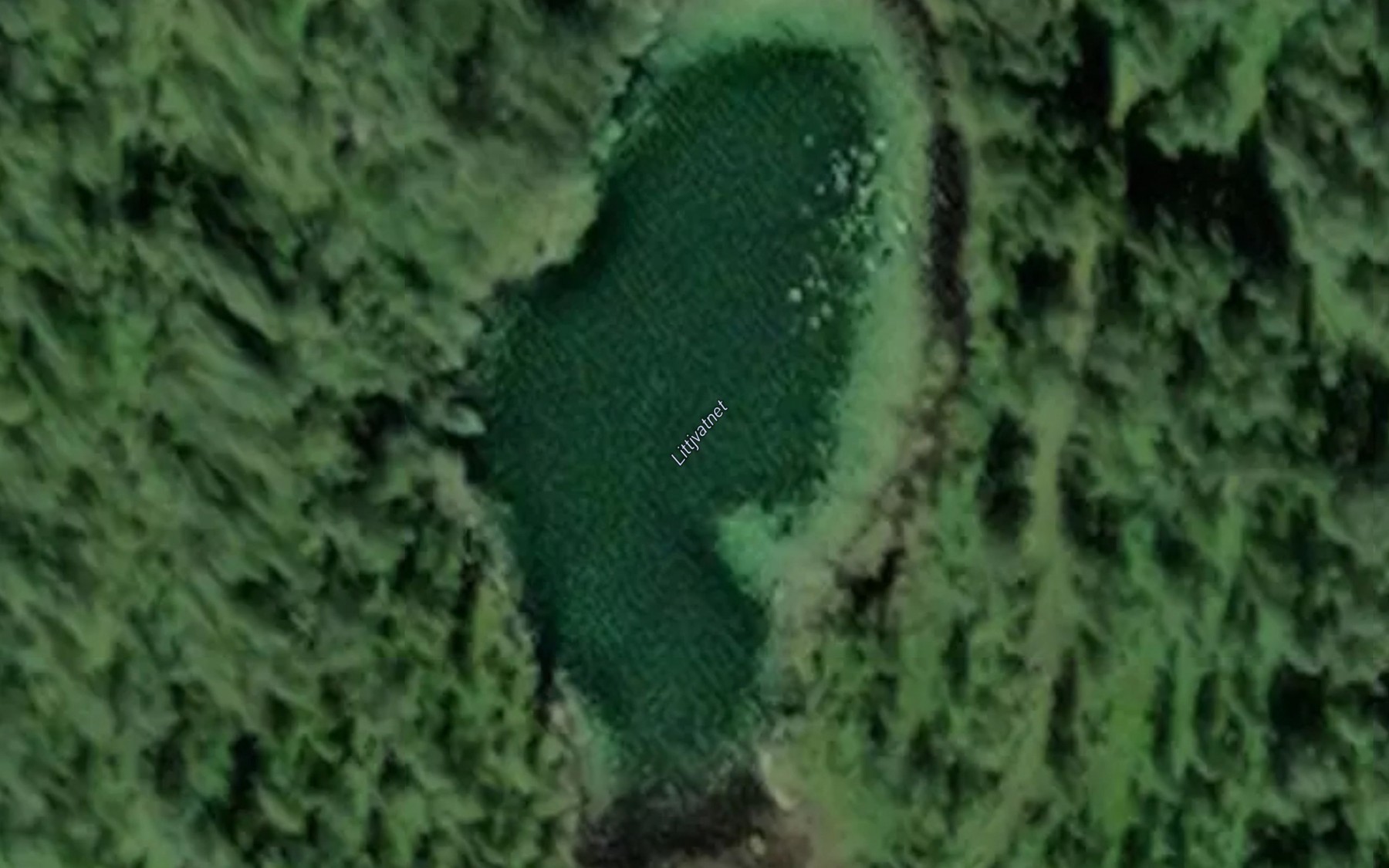 Satellite map of the Litlevatnet