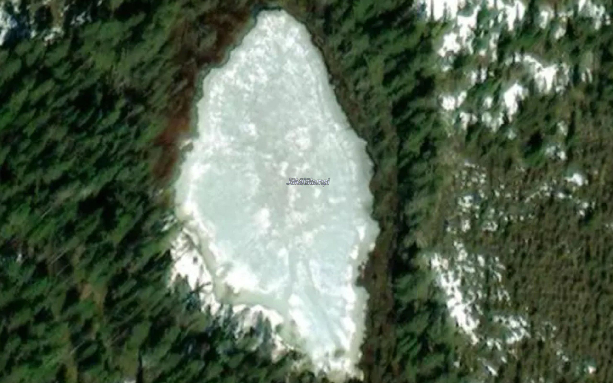 Jakalalampi