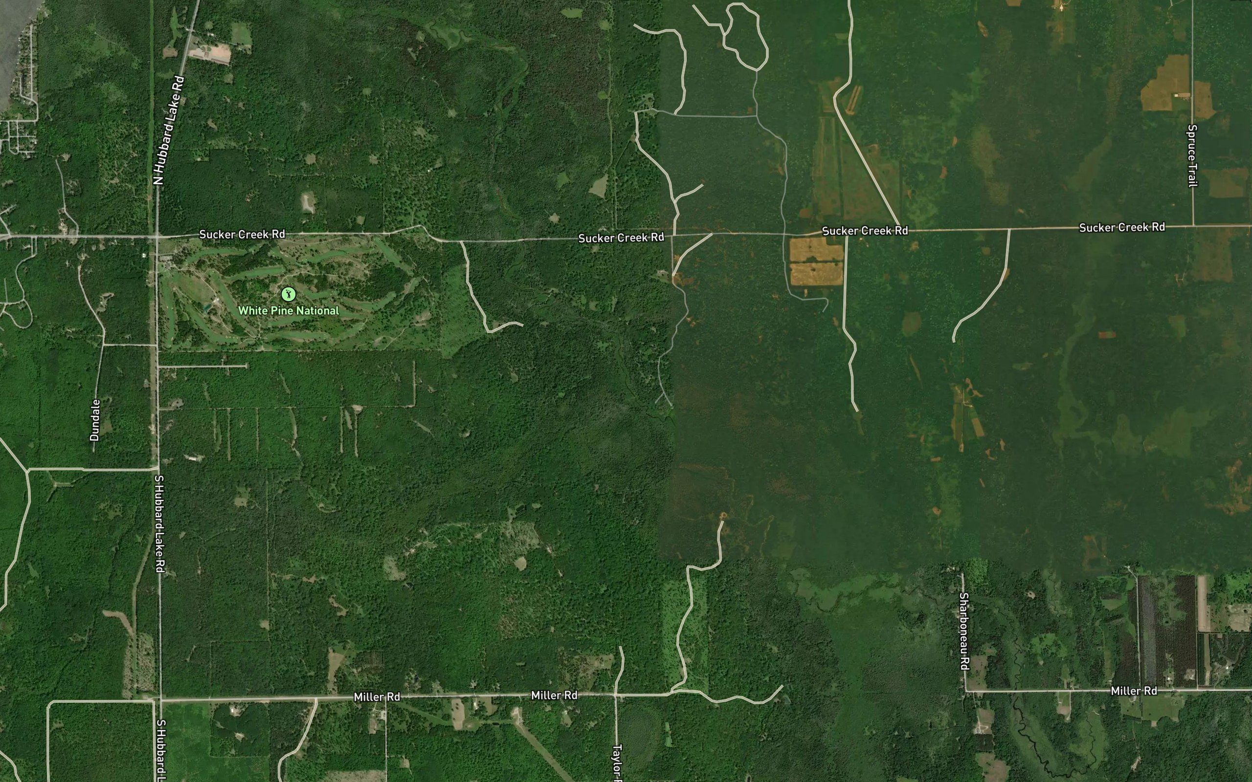 Vincent Creek