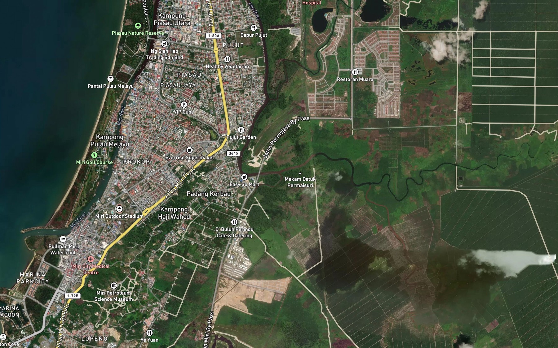 Satellite map of the Sungai Lopeng