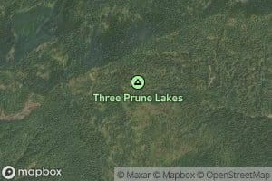 Three Prune Lakes