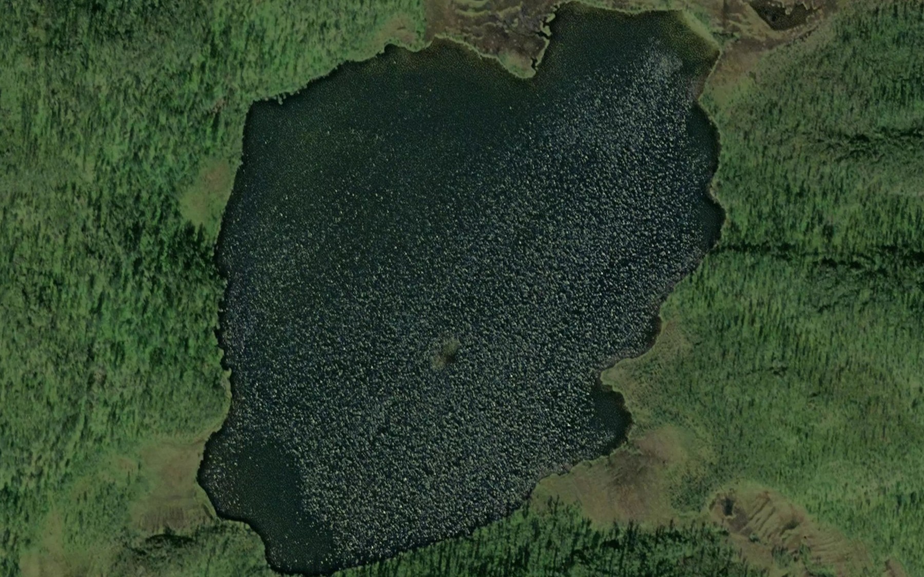 Satellite map of the Torrisvatnet