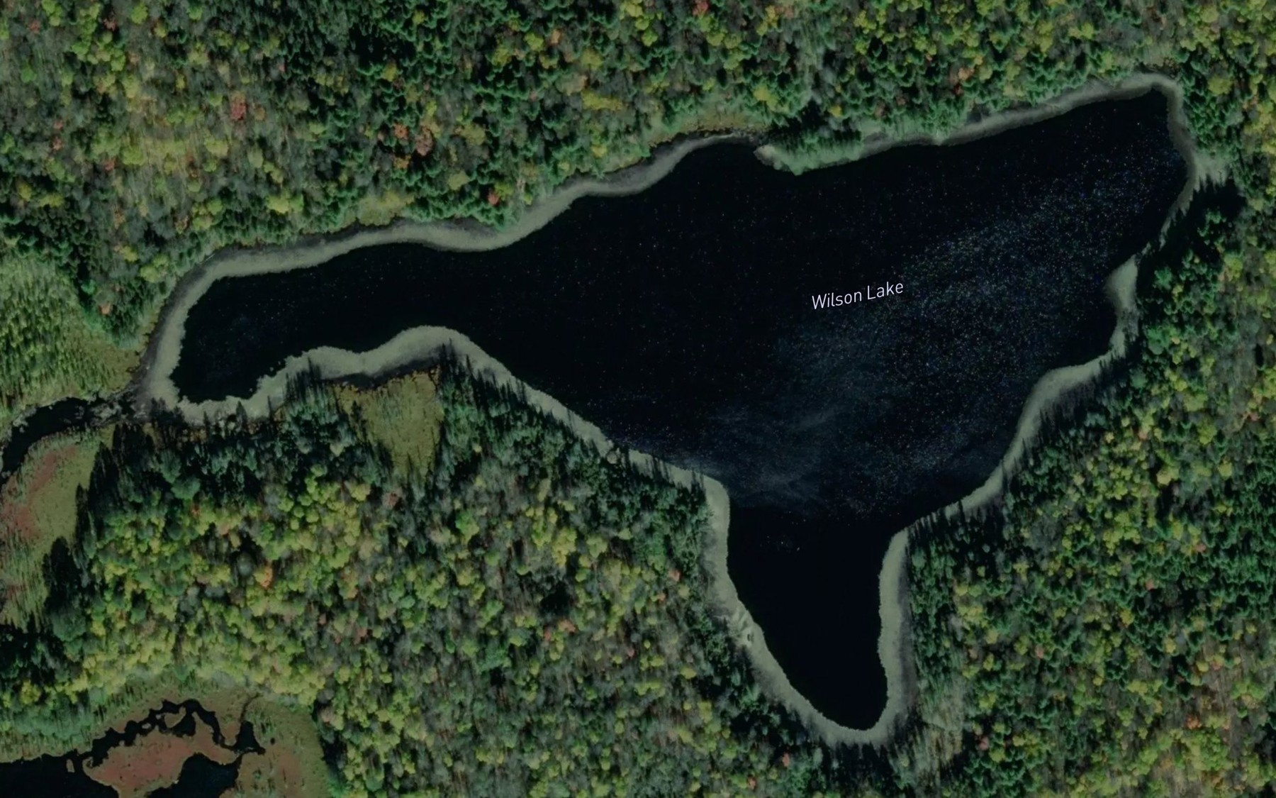 Satellite map of the Wilson Lake