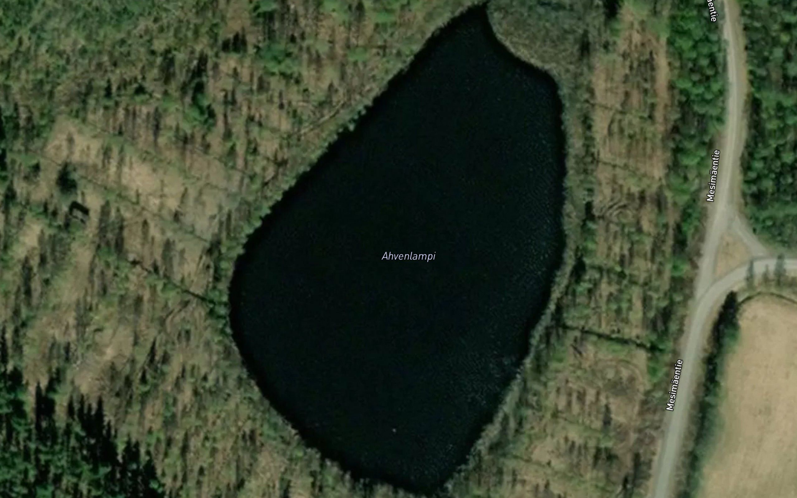 Ahvenlampi