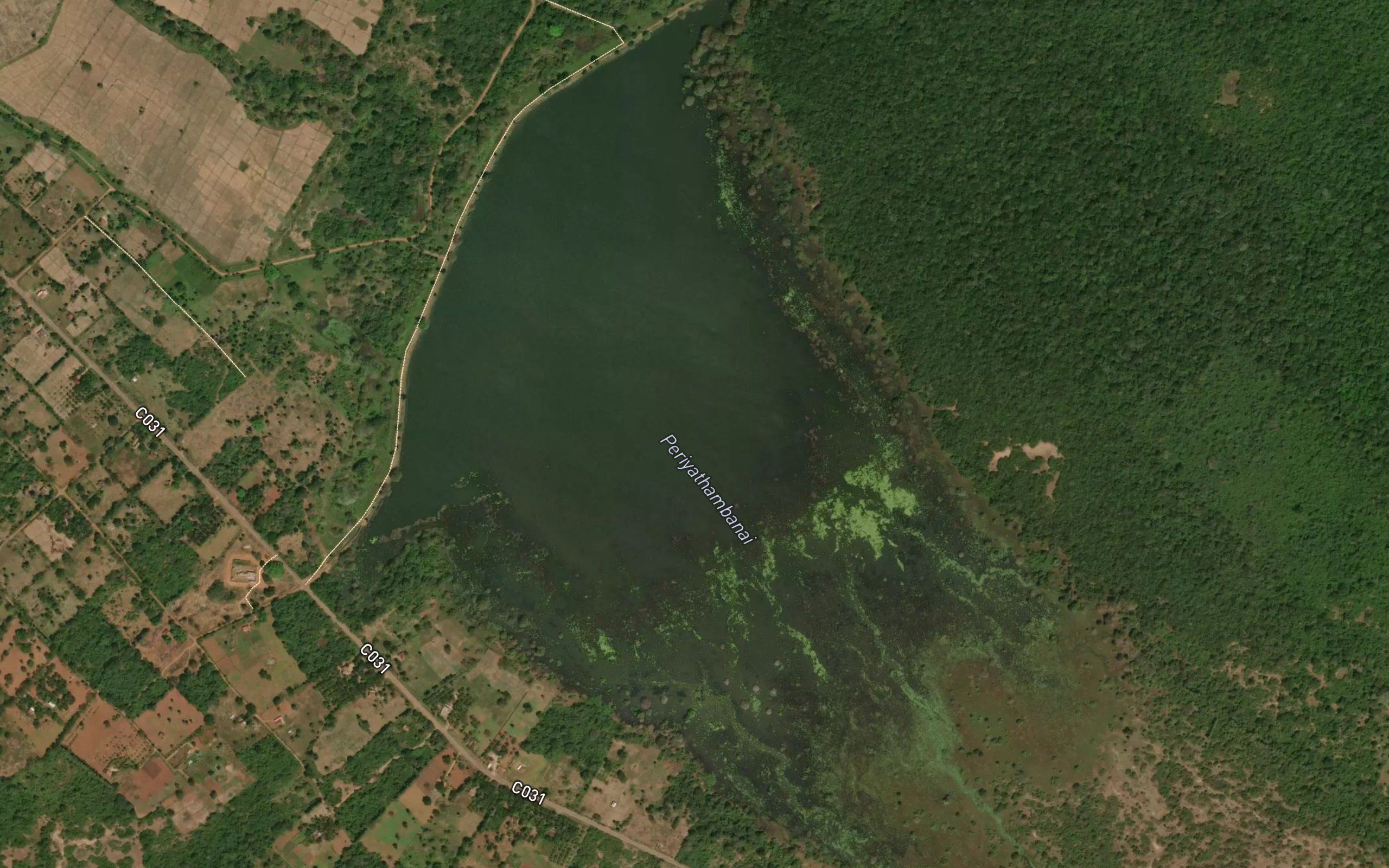 Periya Thampanai Kulam