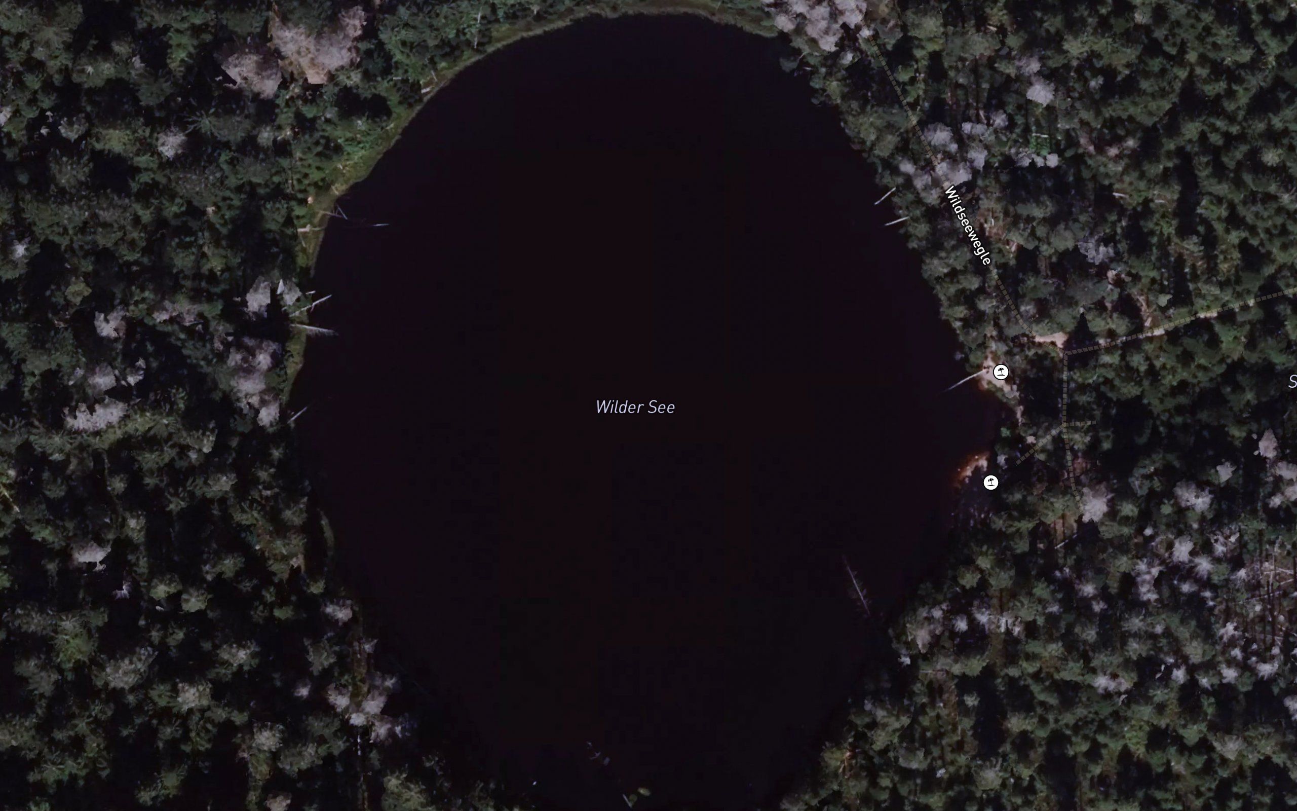 Wildsee