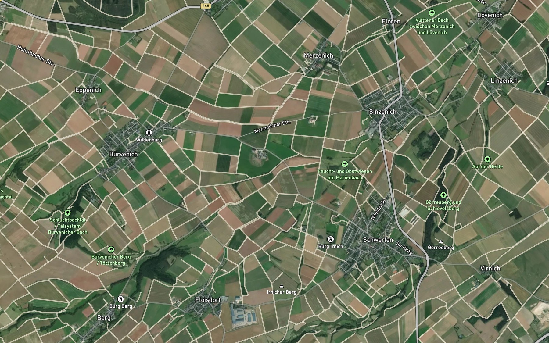 Satellite map of the Bergbach