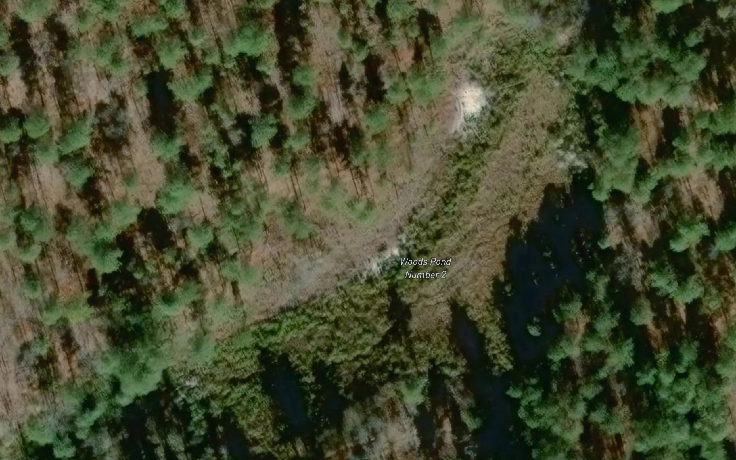 Woods Pond Number 2