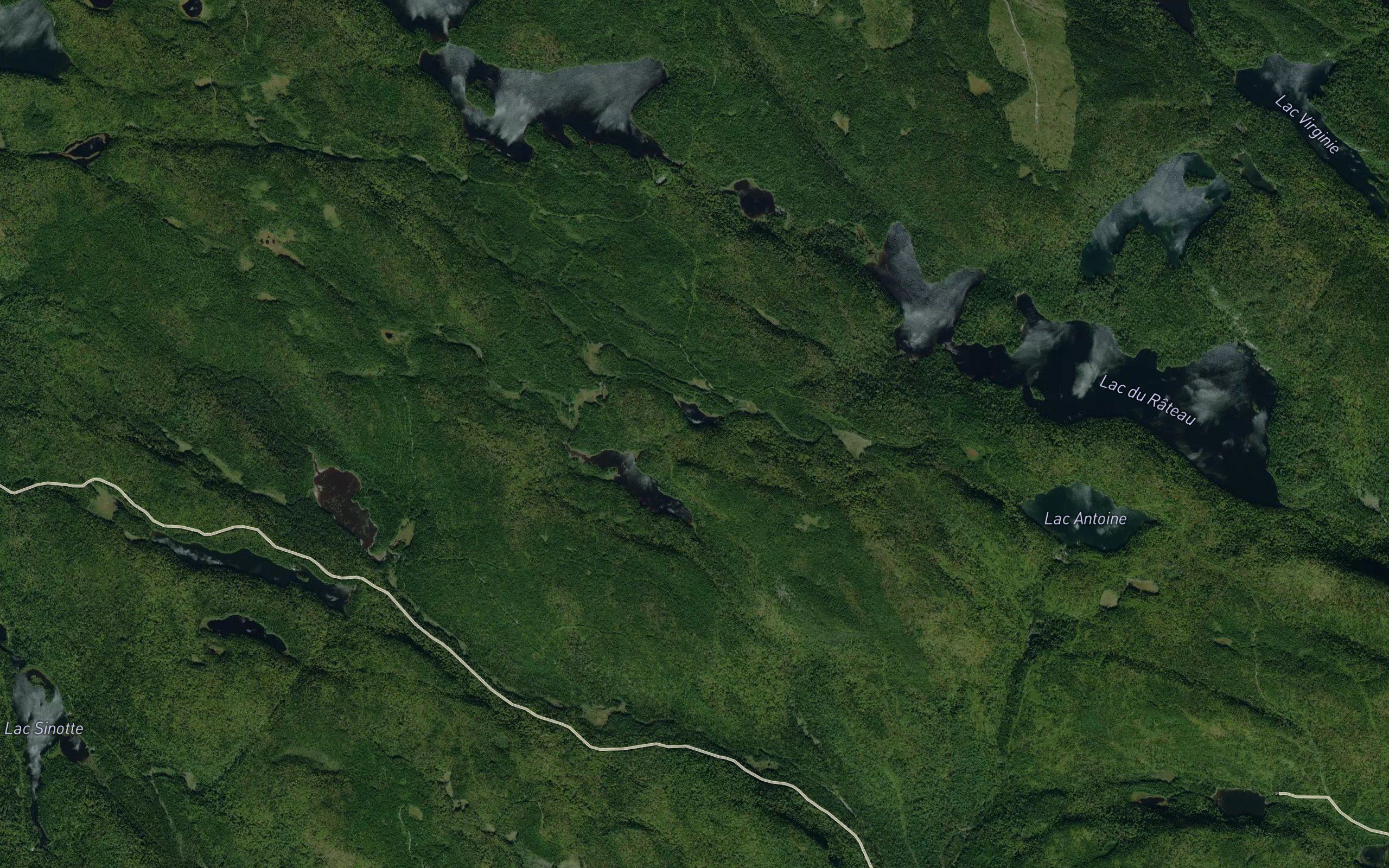 Lac Julie
