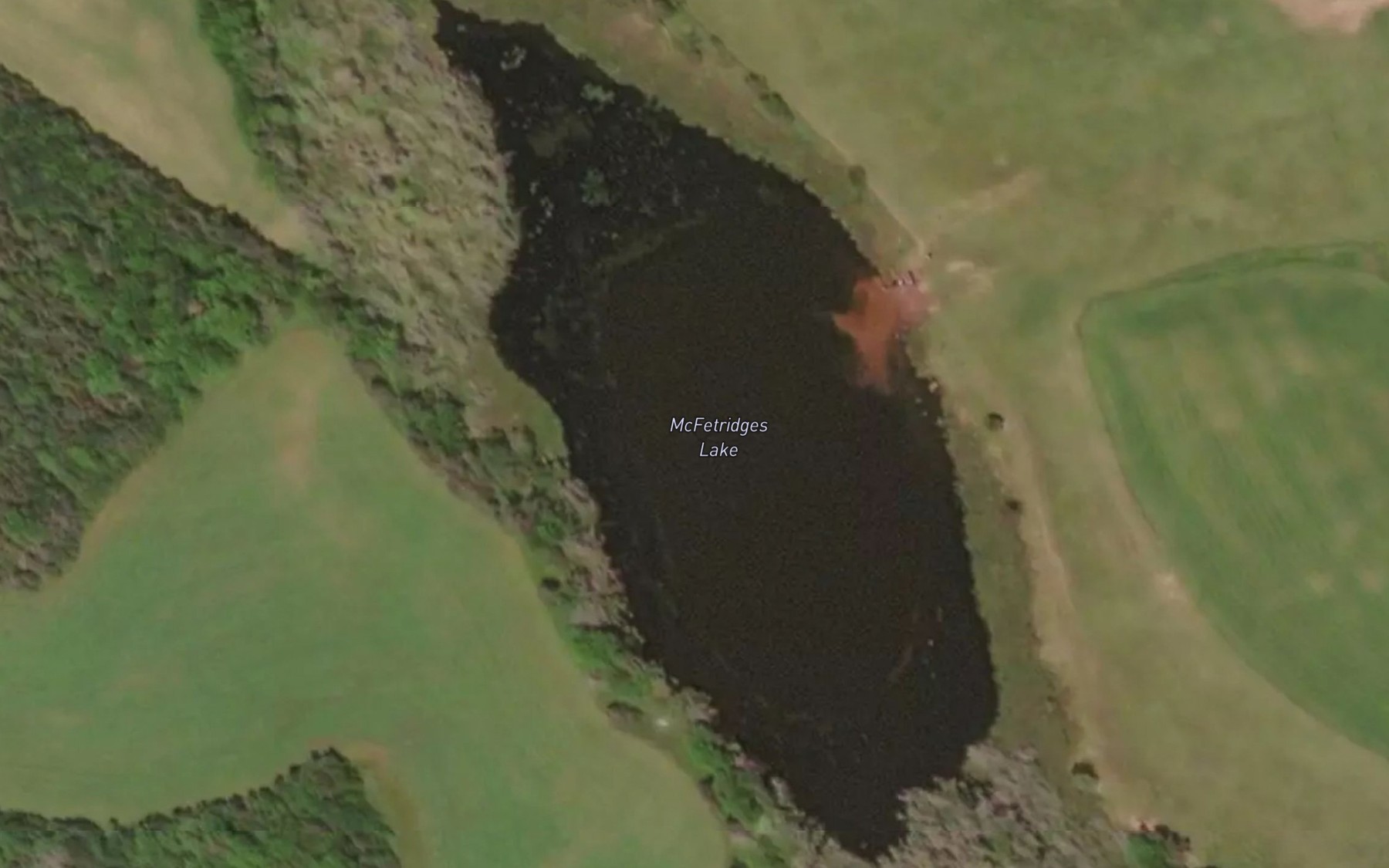 Satellite map of the McFetridges Lake