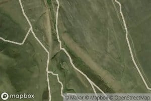 Dzor