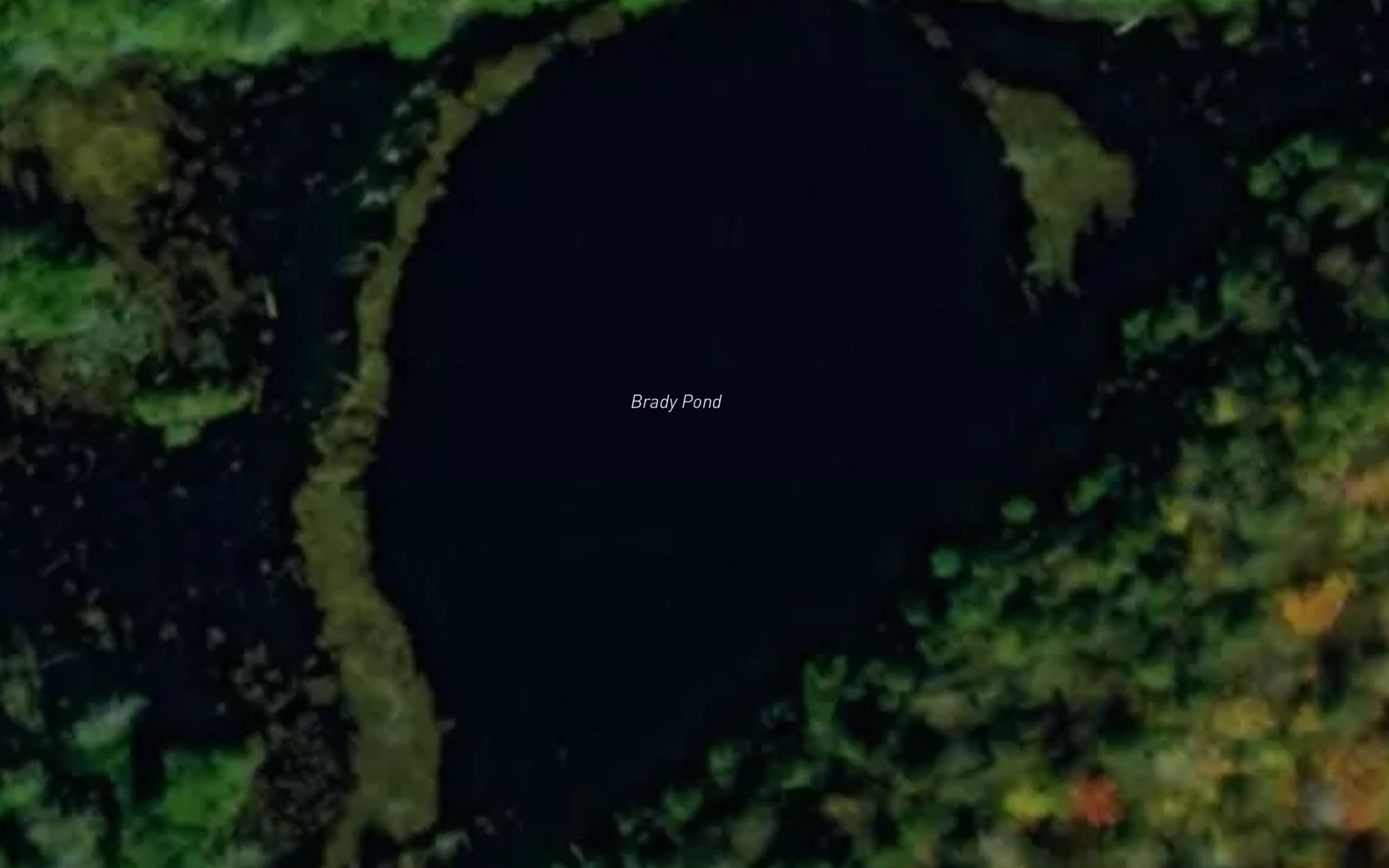 Brady Pond