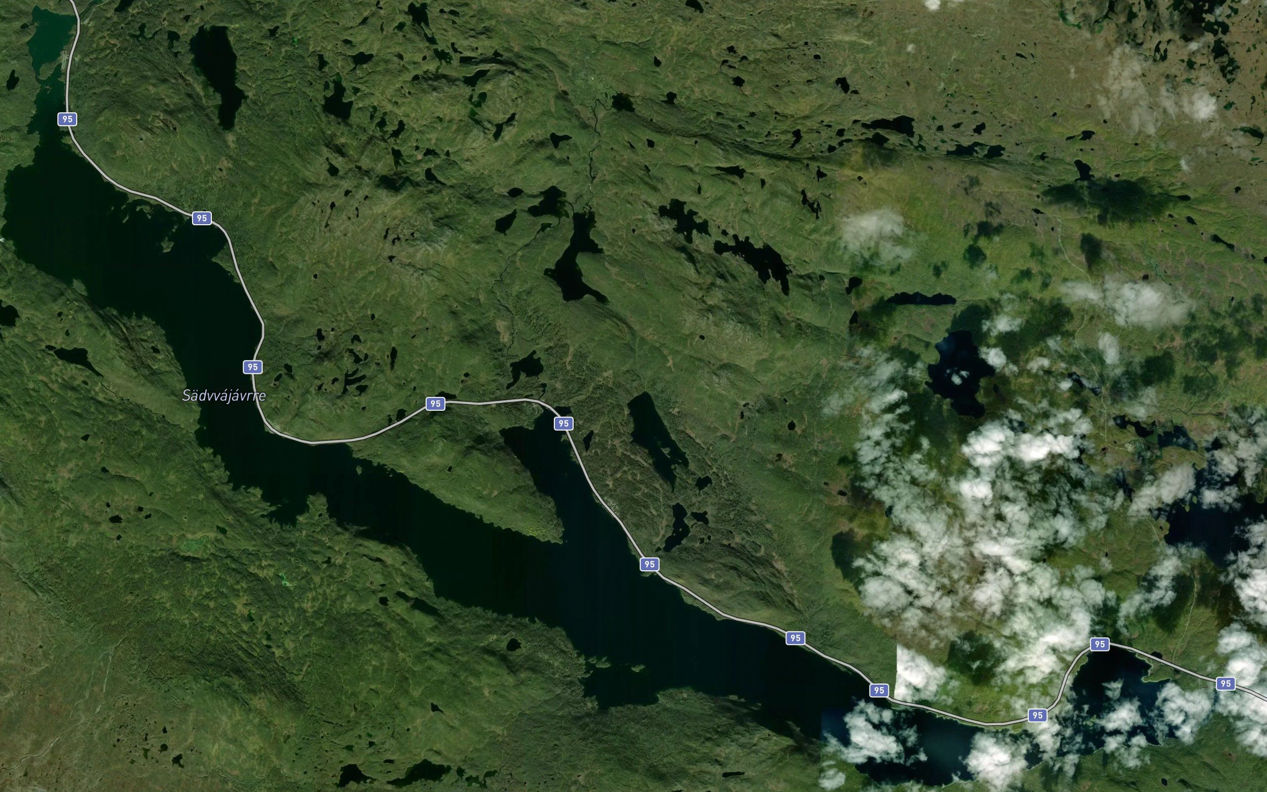 Sadvajaure
