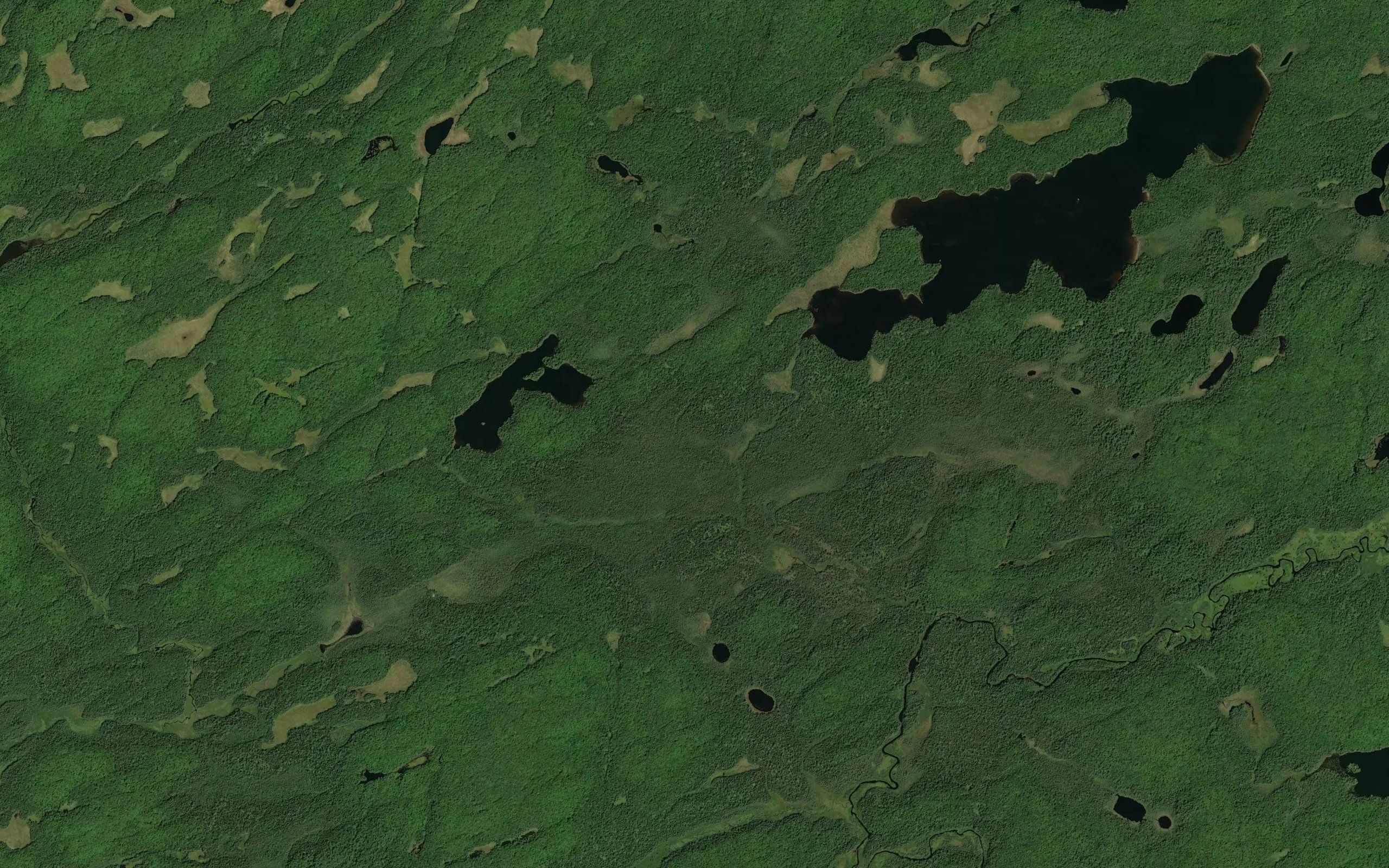 Ozawabrek Creek