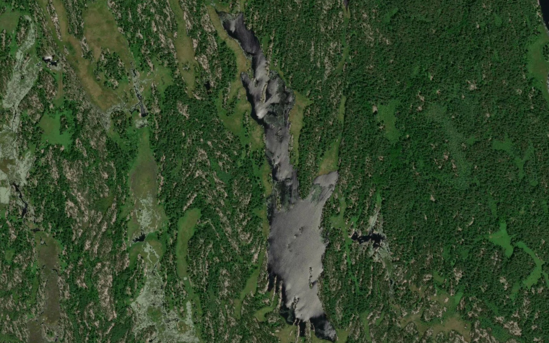 Satellite map of the Ada Lake