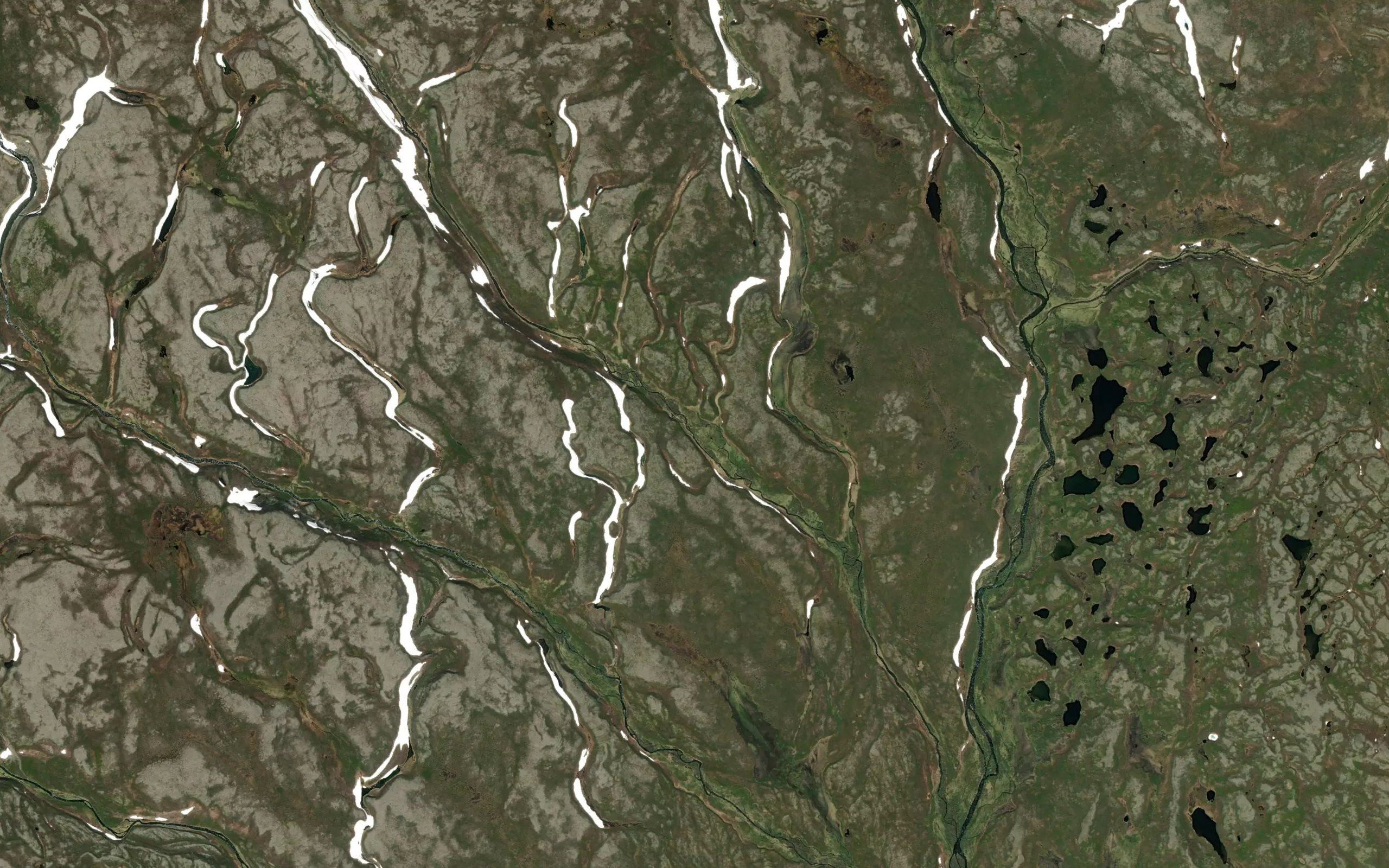 Hausonsaerijaki