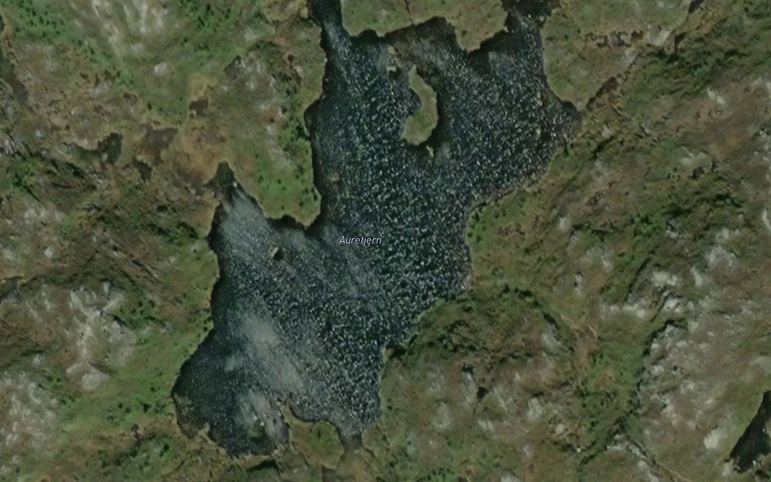 Auretjernet