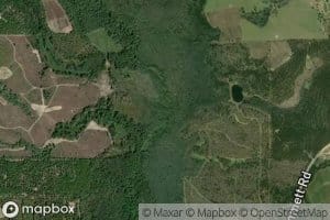 Big Branch Lewis Creek