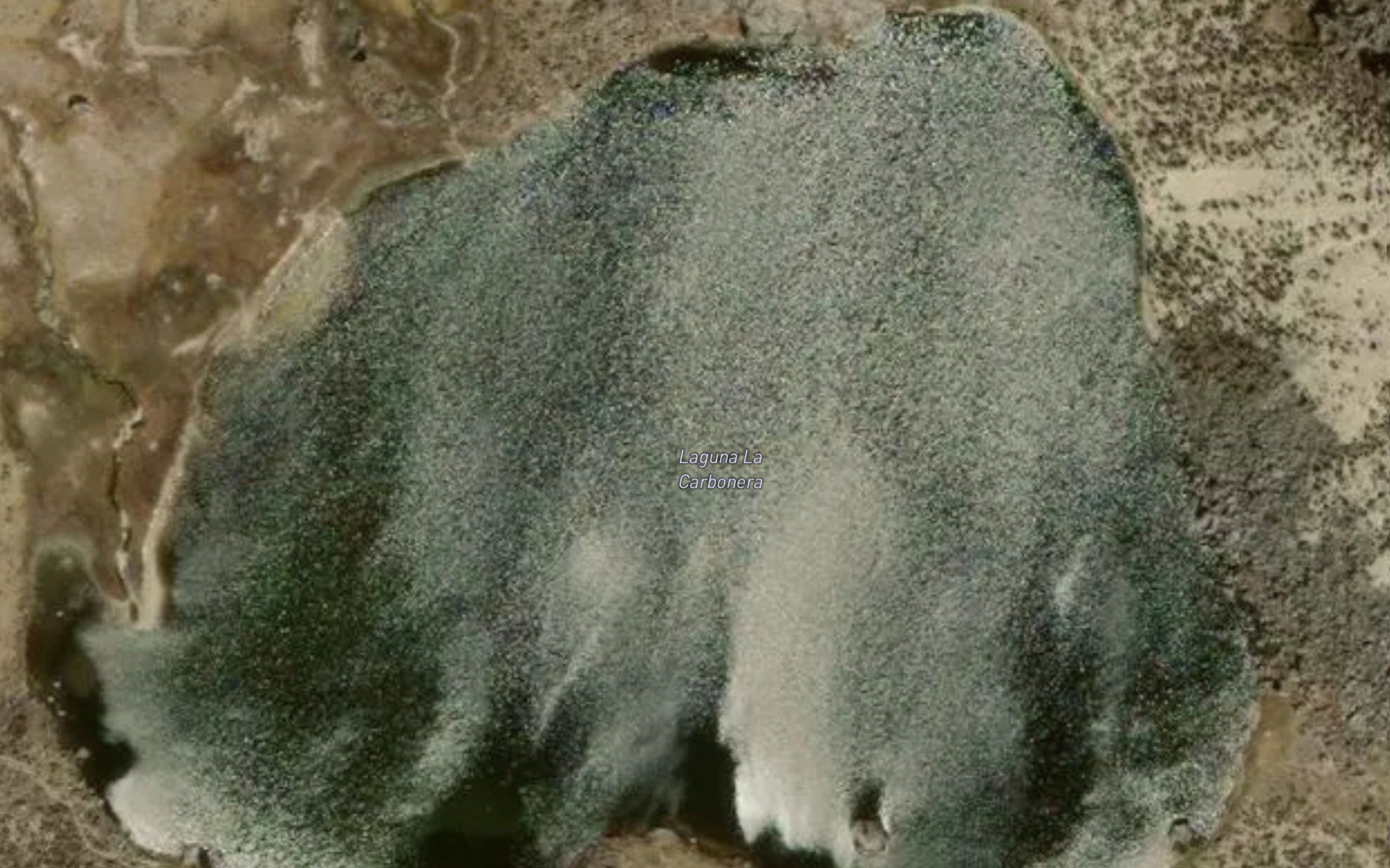 Laguna La Carbonera