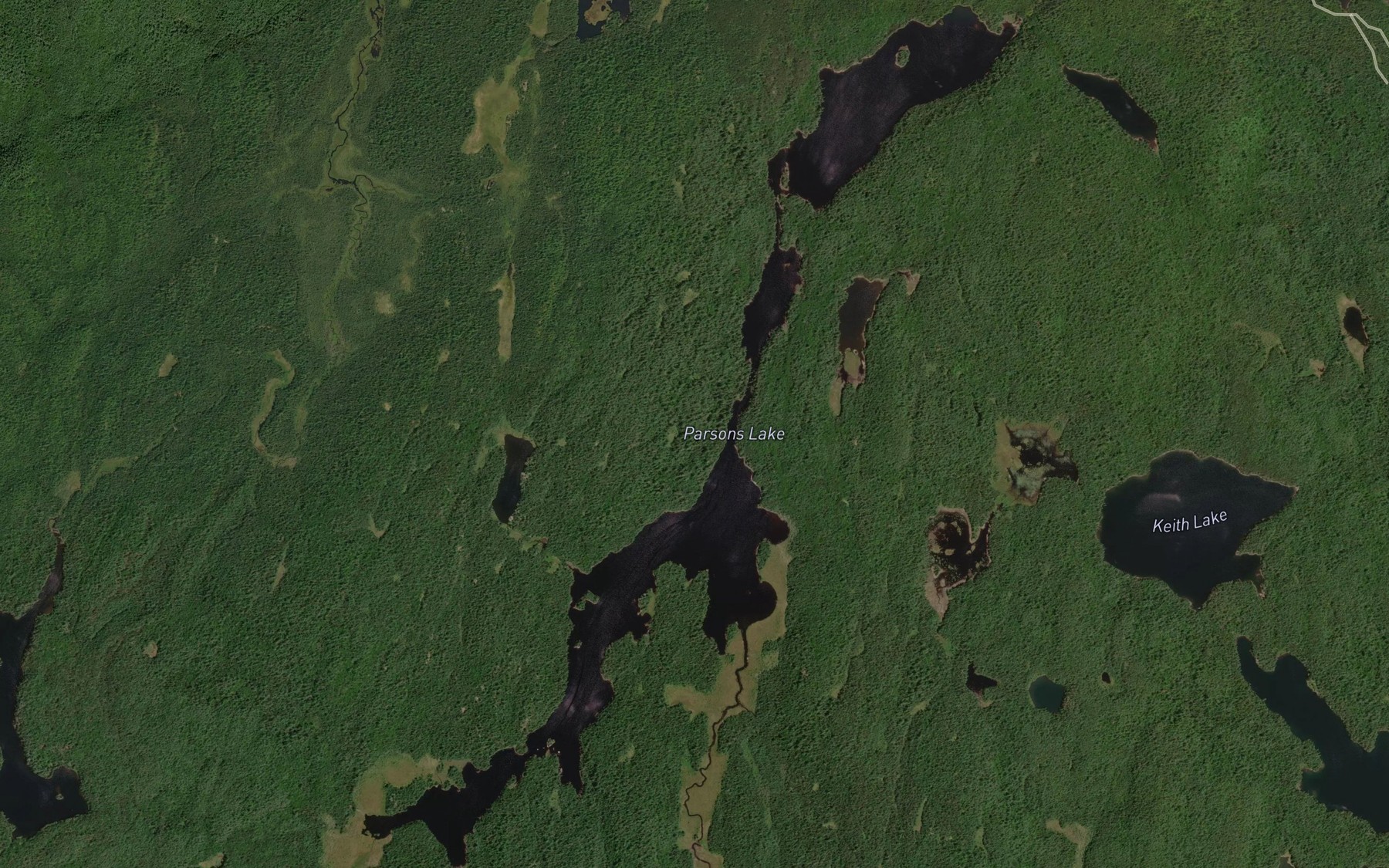 Satellite map of the Parsons Lake