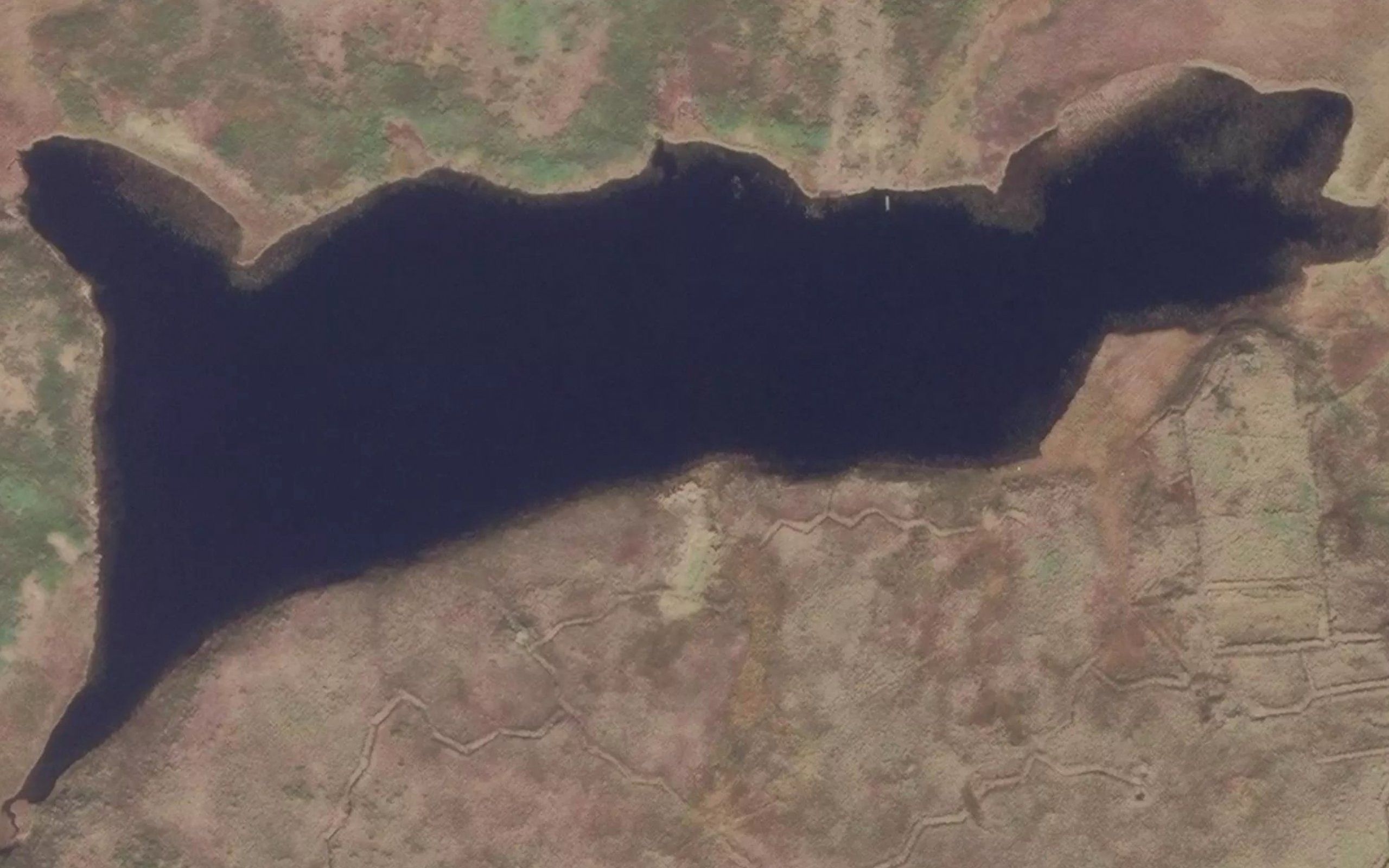 Akiajiba Numa