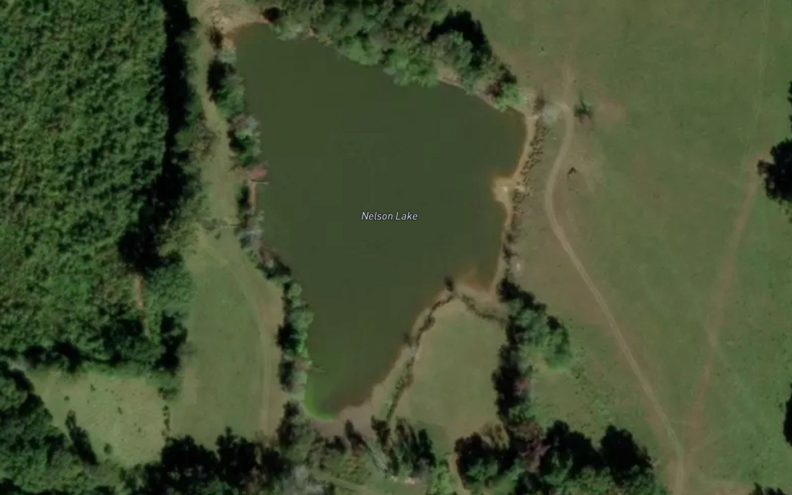 Nelson Lake