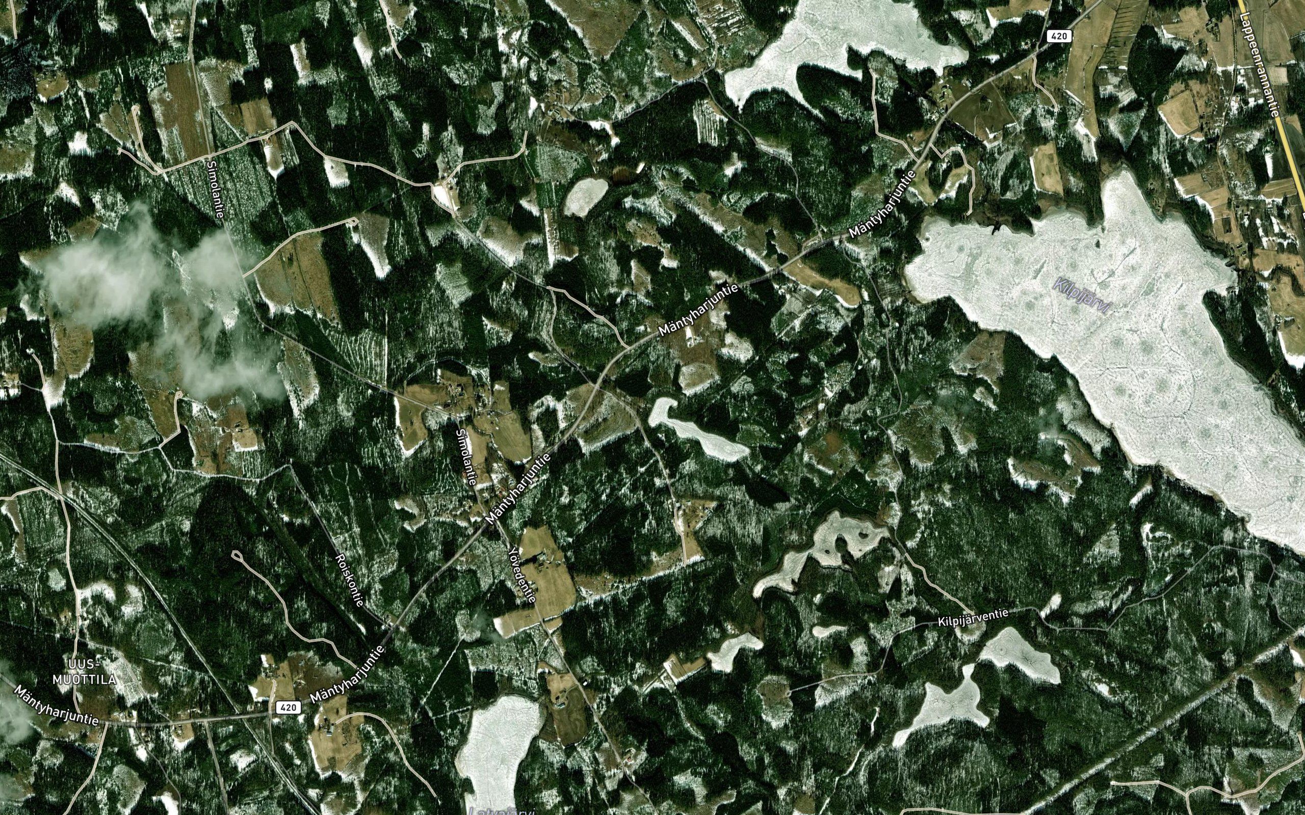 Tuomilamminoja
