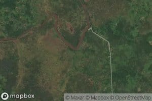 Tsole