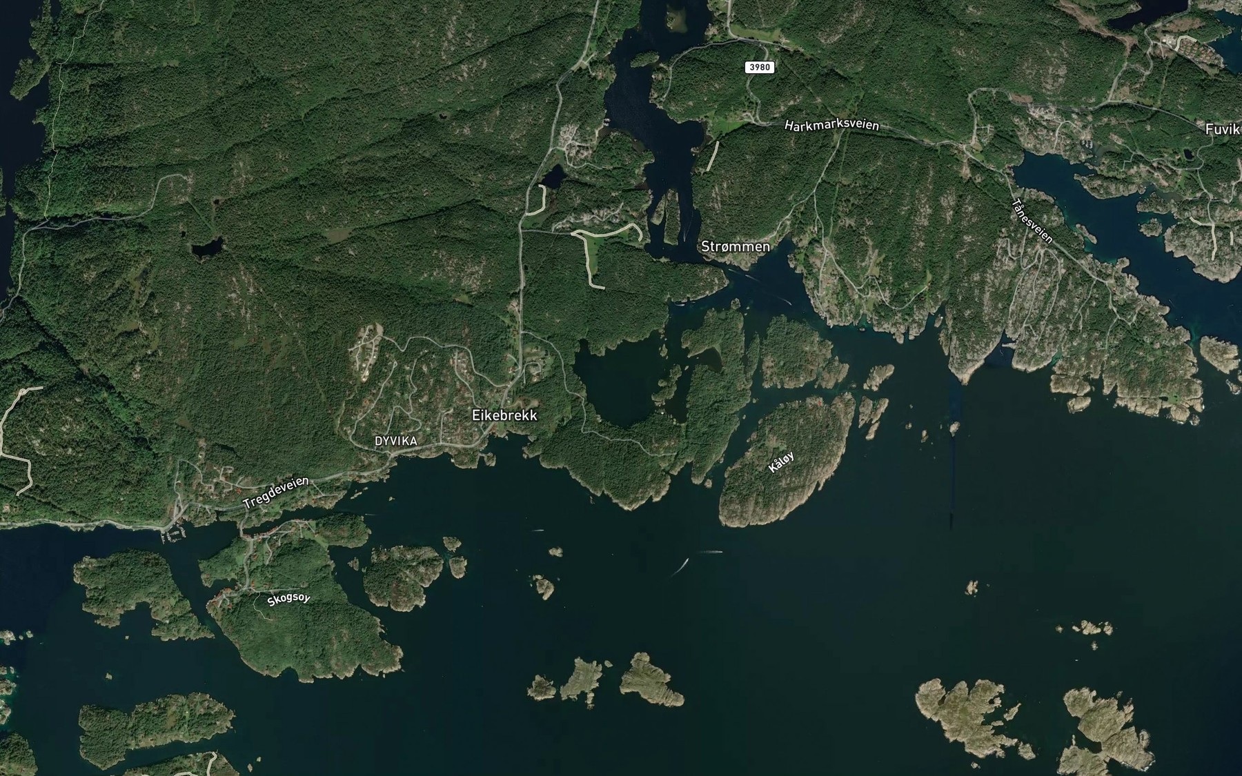 Satellite map of the Selvagen