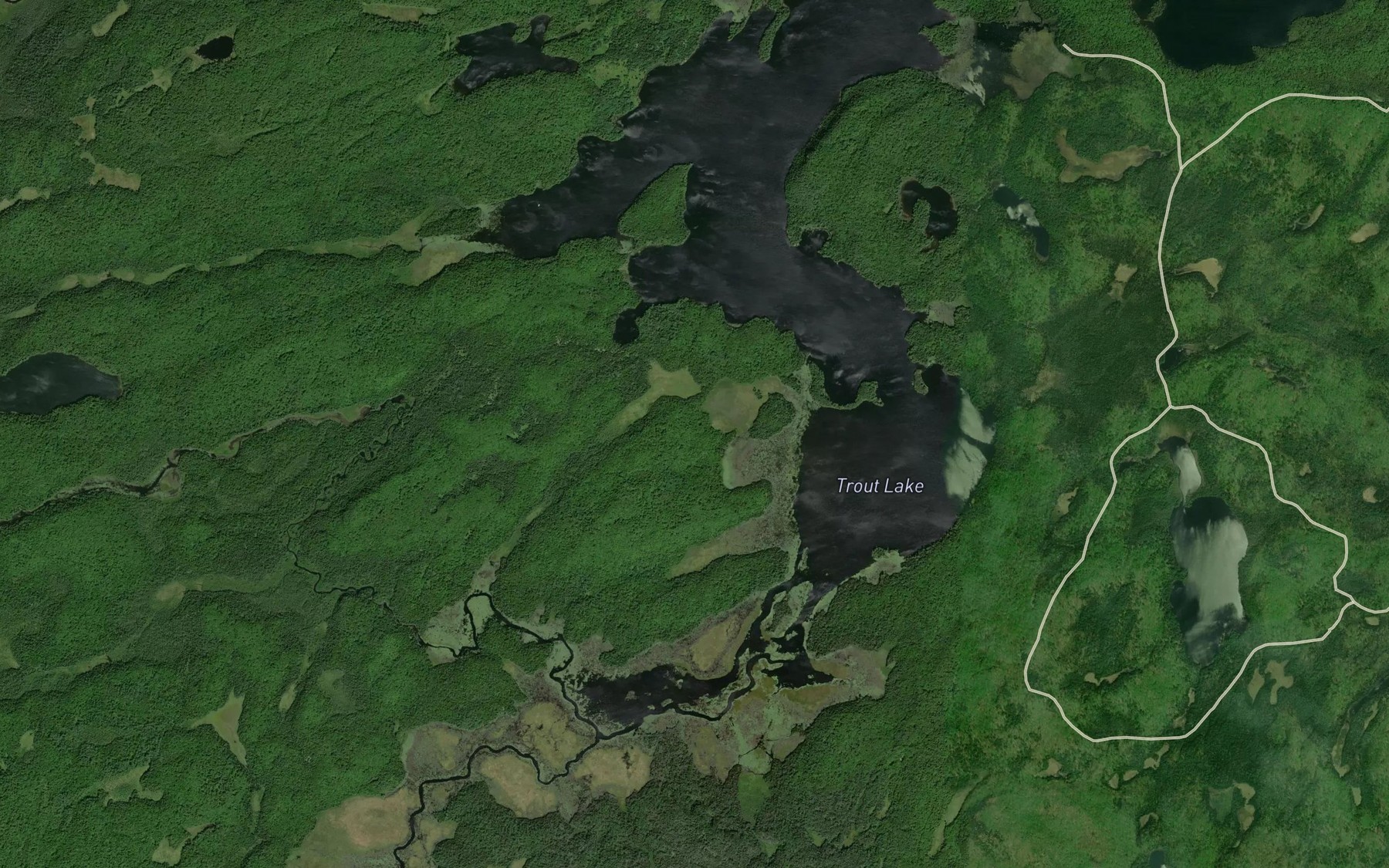 Satellite map of the Trout Lake