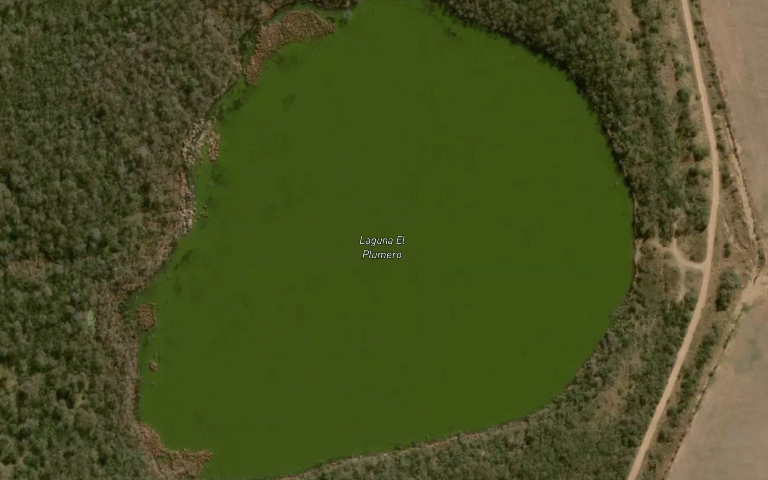 Laguna El Plumerito