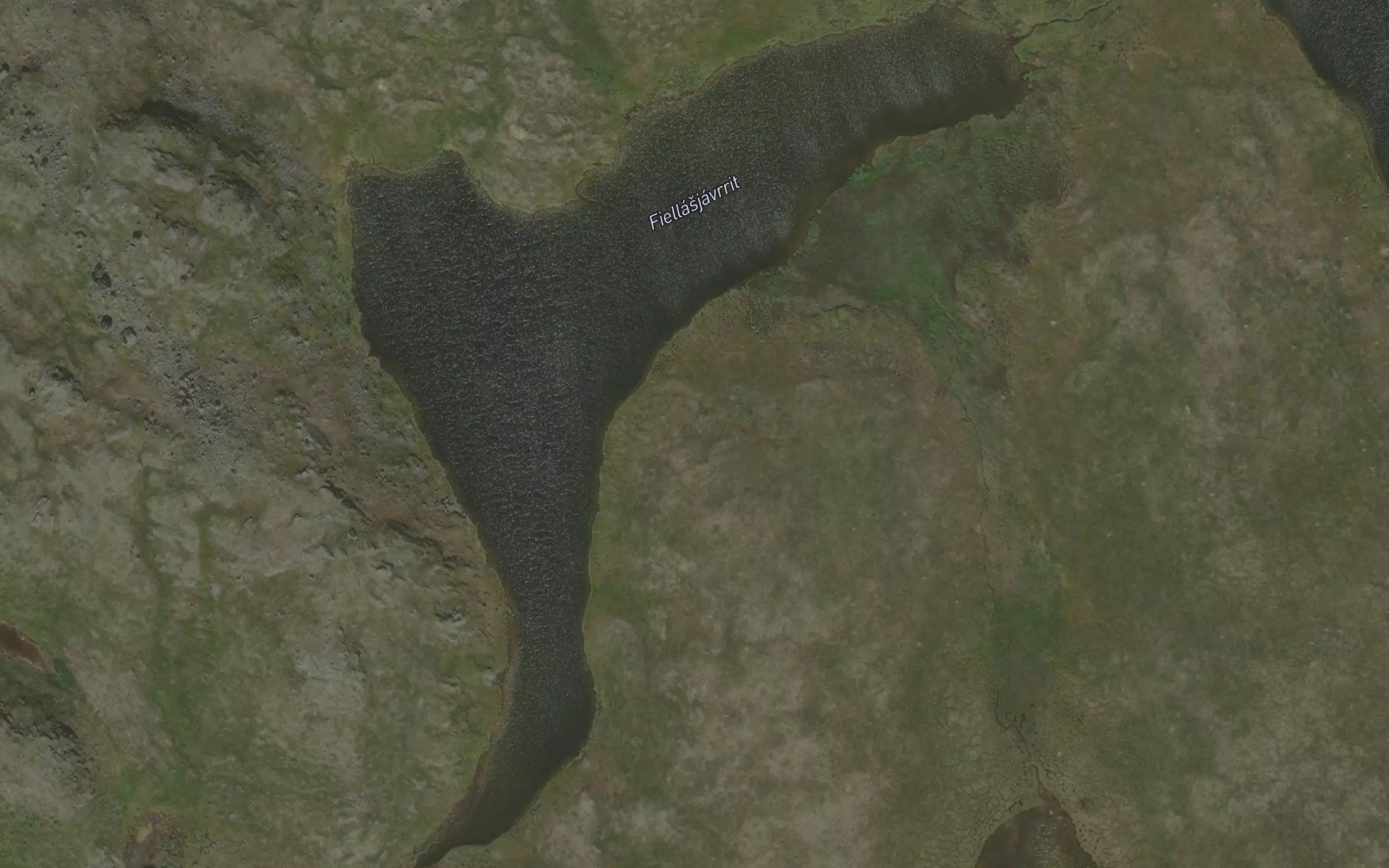 Fiellasjavrit