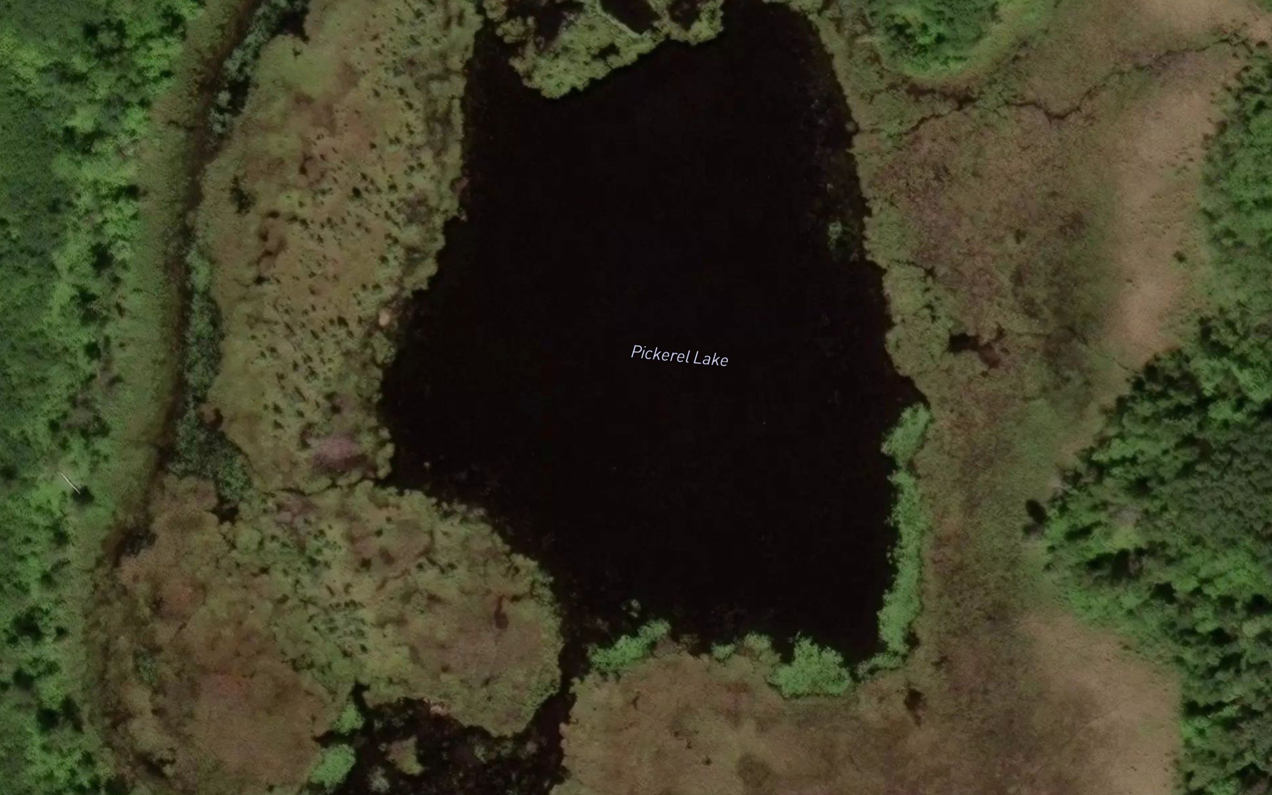 Pickerel Lake