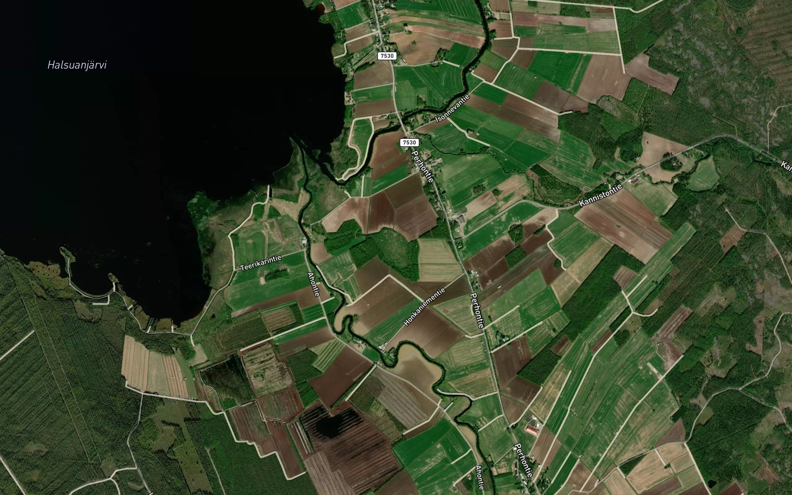 Juurakkolampi